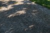 2017-08-21 Eclipse 265